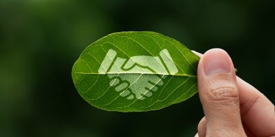 Como agregar valor às marcas com sustentabilidade