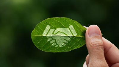 Sustentabilidade como estratégia de valor: por que adotá-la em seu negócio?