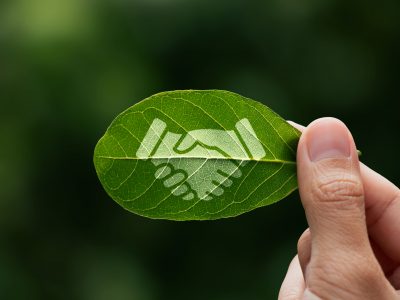 Como agregar valor às marcas com sustentabilidade