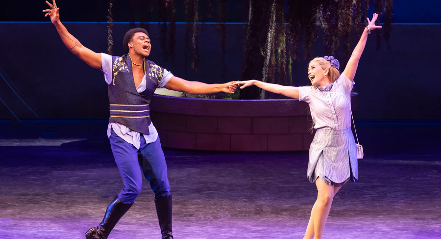 Wicked e outros livros que viraram peças de teatro